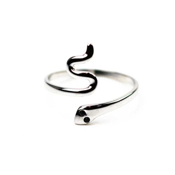 Δαχτυλίδι Ασημί Ατσάλινο με Σχέδιο Φίδι